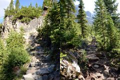 12 The Lake Oesa Trail Climbs Steeply From Lake O-Hara Morning.jpg